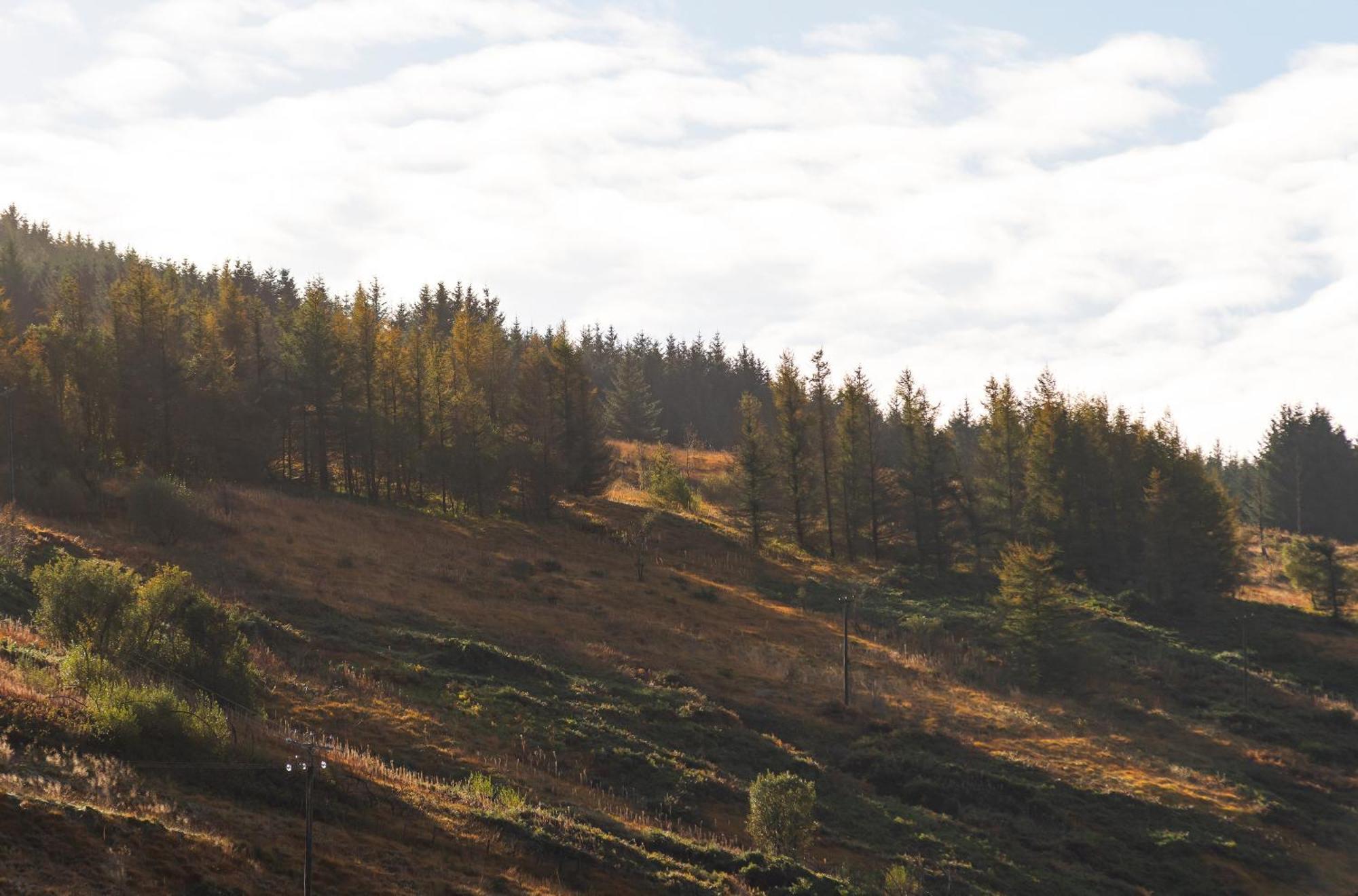 Riverside Great House In The Afan Forest Bike Park By Staystaycations Glyncorrwg Exterior foto
